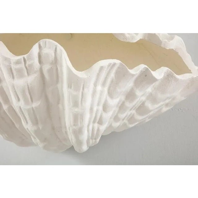 Alabaster Bespoke Coquillage Plaster Sconces - a Pair For Sale - Image 8 of 10