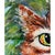 Irene Van Genderen-Van De Wilt, Orange Cat Painting, 2000s, Canvas and Beech For Sale - Image 9 of 17