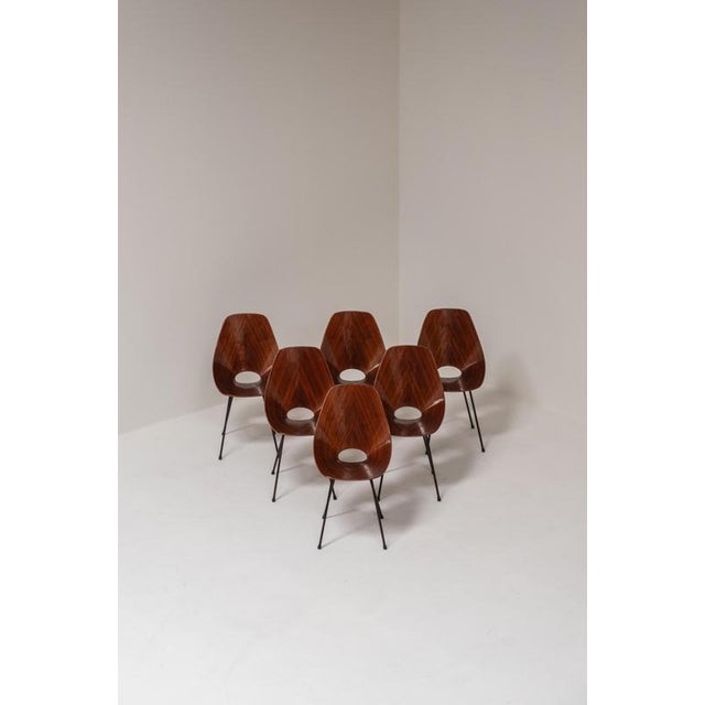 Medea Chairs by Vittorio Nobili, Italy, 1955, Set of 6 For Sale - Image 15 of 17