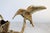 Vintage Brass Floral and Hummingbird Candle Holder For Sale - Image 4 of 8