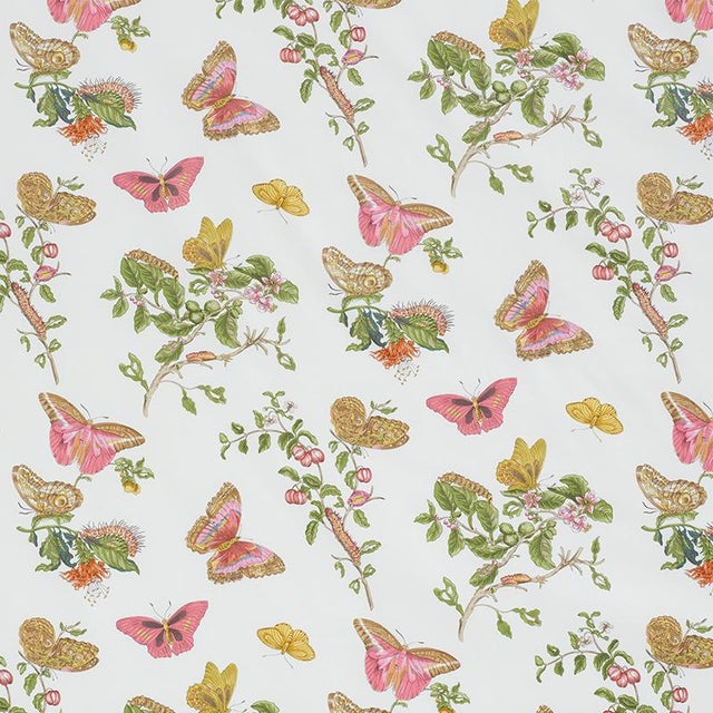 Butterflies and caterpillars inspired by the illustrations of 17th-century German naturalist Maria Sibylla Merian make...