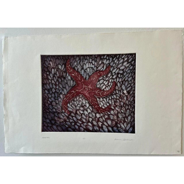 Vintage Arnold Grossman "Sea Star" Limited Edition Etching with Aquatint For Sale - Image 13 of 13
