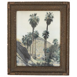 Antique California Desert Hand Colored Photograph For Sale