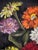 Original watercolor on paper by Henry Emil Salloch, also known as Heinz Emil Salloch, the German-born American artist and...