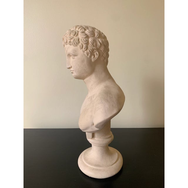 Vintage Classical Plaster Male Bust of Hermes Sculpture For Sale In South Bend - Image 6 of 9