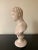 Vintage Classical Plaster Male Bust of Hermes Sculpture For Sale In South Bend - Image 6 of 9