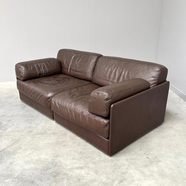 Animal Skin Vintage DS76 Sofa from de Sede, 1970s For Sale - Image 7 of 16