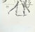 The Dance from the series The Arts is a lithograph by Salvador Dalì, realized by the surrealist master in 1980. Hand...