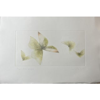 Mikio Watanabe, Passing Breeze, 2021, Mezzotint For Sale