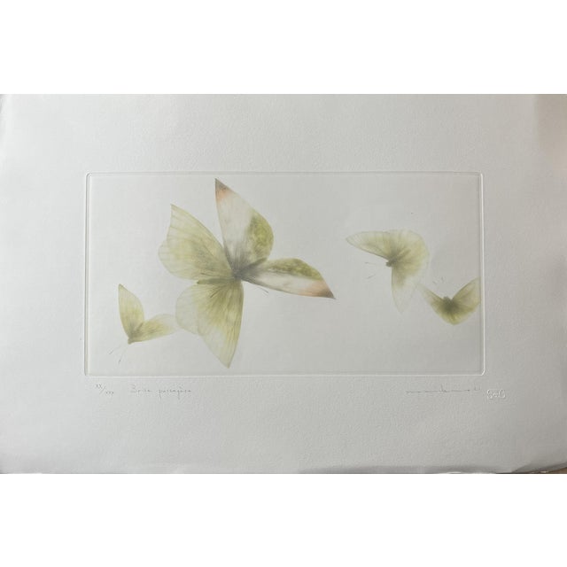 Mikio Watanabe, Passing Breeze, 2021, Mezzotint For Sale