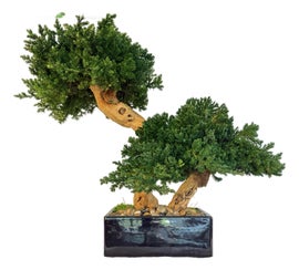Example of Faux Trees