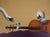 Jean-Paul Donadini (1951) Swans in Harmony Original color lithograph Signed in pencil Marked as Hors Commerce (HC) On...