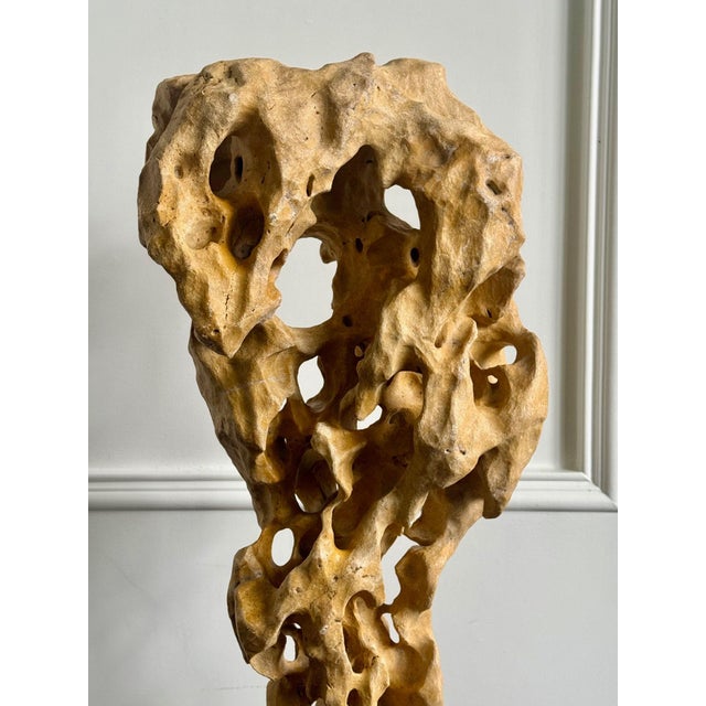 Extraordinary Large Chinese Scholar Rock Yellow Taihu Stone on Wood Stand For Sale - Image 17 of 18