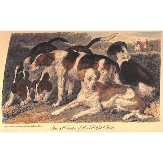 Paper "The Noble Science: A Few General Ideas on Fox-Hunting" 1893 Blew, William c.A. For Sale - Image 7 of 12