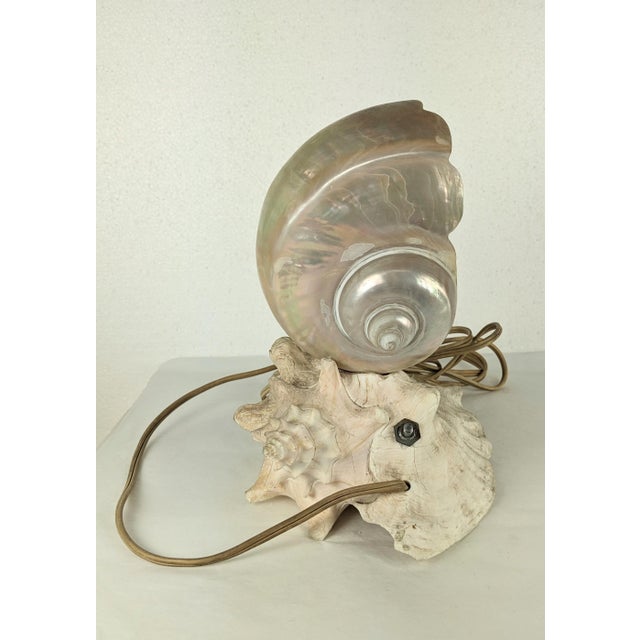Shell Deco Nautilus and Conch Shell Lamp For Sale - Image 7 of 11