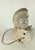 Shell Deco Nautilus and Conch Shell Lamp For Sale - Image 7 of 11