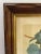 Antique 1809 Botanical Engraving With Grapes, Framed For Sale In Atlanta - Image 6 of 8