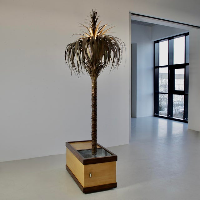 Vintage Italian Brass Palm Tree Lamp by Sergio Buzzi, 1960s For Sale - Image 9 of 10