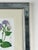 Vintage Trowbridge Custom Framed Botanical Print “Cosmanthus Grandiflorus” After Louis Van Houtte (1810–1876) For Sale - Image 4 of 10