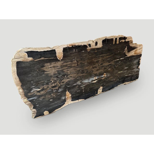 Andrianna Shamaris Live Edge Single Slab HighQuality Petrified Wood Dining Table For Sale - Image 16 of 18