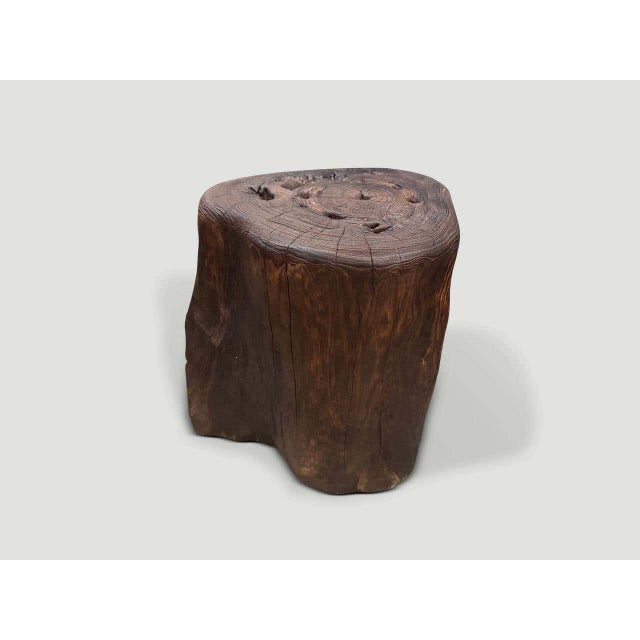 Andrianna Shamaris Modern Organic Charred Side Table For Sale - Image 4 of 5