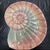 1990s Vintage Set of 4 Fitz and Floyd Caribbean Collection Appetizer or Salad Plates For Sale - Image 5 of 9