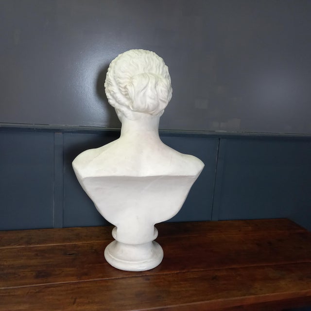 Large Nude Bust of Venus, 1950s For Sale - Image 12 of 15