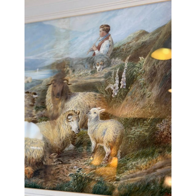 Paper PH Staines, Sheep, Gouache on Paper, 1860 For Sale - Image 7 of 11