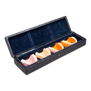 Mid-Century Dentists' Denture Mold Guide Kit c.1950