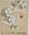 Vintage Asian Print of Flowers and Butterfly Matted & Unframed. There is some light foxing on the mat but not on the art...