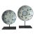 Early 18th Century Qing Dynasty Chinese Kangxi Blue and White Porcelain Plates- A Pair For Sale