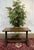 English Bistro Table in Ash and Beech, 1970s, in Good conditions. Designed 1980 to 1989