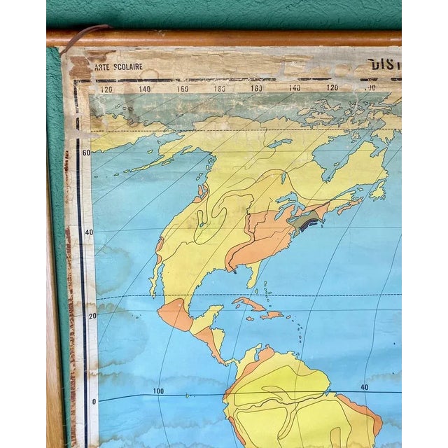 Population Distribution and Density Map, 1960s For Sale - Image 9 of 12