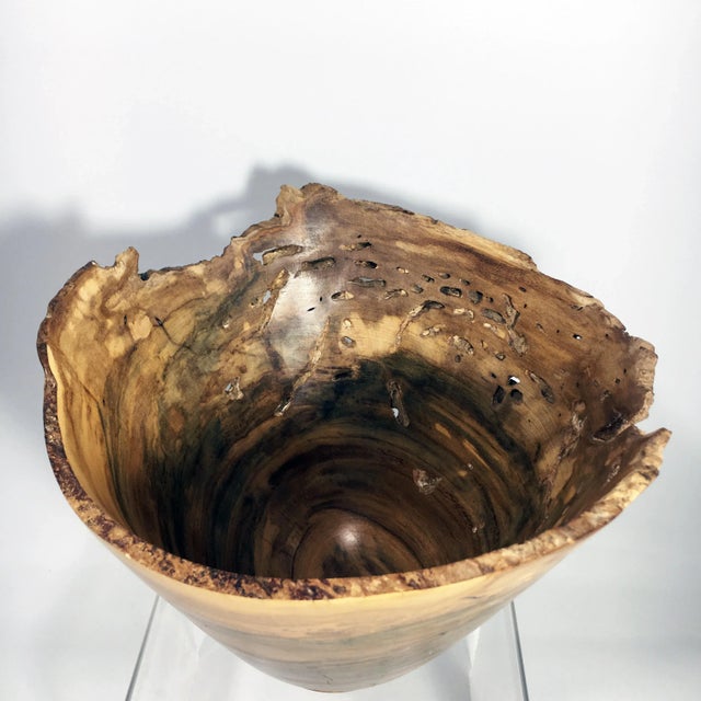 Persimmon Burl Wood Turned Art Bowl by Brian Sykes For Sale - Image 4 of 9