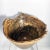 Persimmon Burl Wood Turned Art Bowl by Brian Sykes For Sale - Image 4 of 9