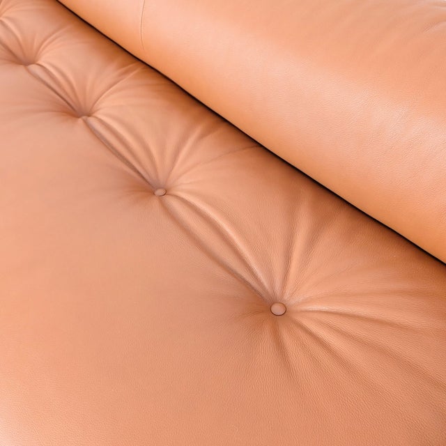 Anfibio Sofa in Cognac by Allessandro Becchi for Collezioni For Sale - Image 13 of 15