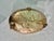 Vintage Hammered Brass Cachepot Planter With Paw Feet and Decorative Handles For Sale - Image 11 of 11