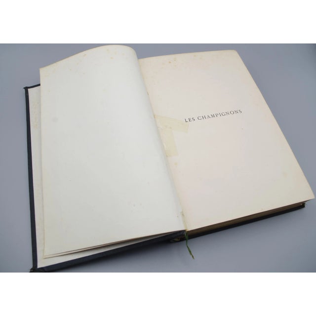 Late 19th Century Antiquarian French Mushrooms: Les Champignons For Sale - Image 5 of 11