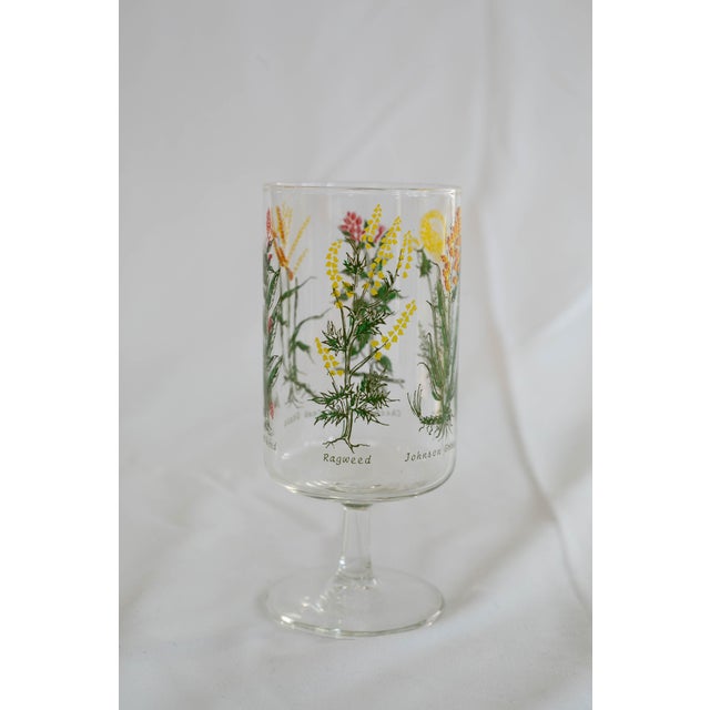 Vintage Neiman Marcus “Weed & Wildflower” Botanical Stem Glasses - Set of 6 For Sale - Image 13 of 13
