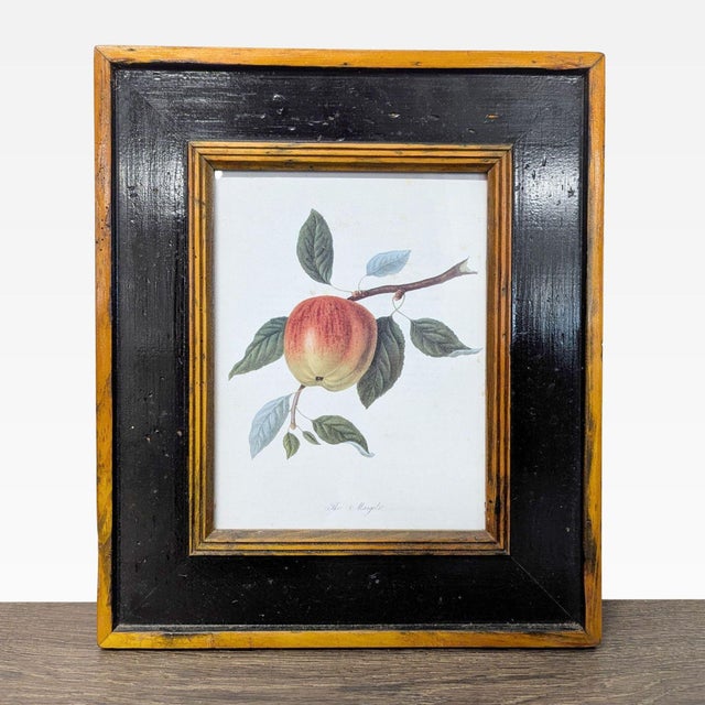 Traditional Set of 3 Framed Botanical Fruit Prints – Classic Wall Art Decor For Sale - Image 3 of 7