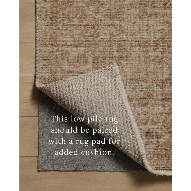 Amber Lewis x Loloi Molly Antique / Multi 8'-6" x 12' Area Rug For Sale In Dallas - Image 6 of 7