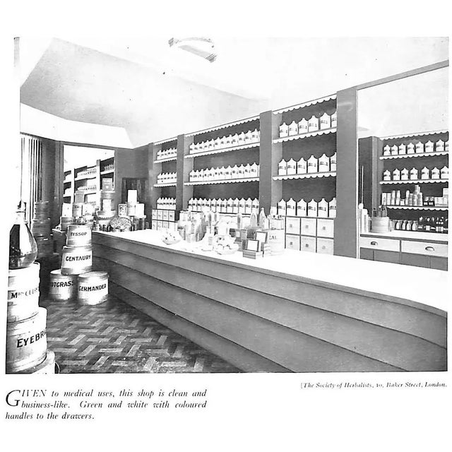 "Colour in Everyday Rooms With Remarks on Sundry Aspects of Decoration" 1934 Ionides, Basil For Sale - Image 14 of 16