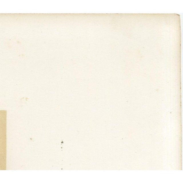 Gold After Isidore Bonheur, Garonnais Bull, , 1873, Paper For Sale - Image 8 of 12