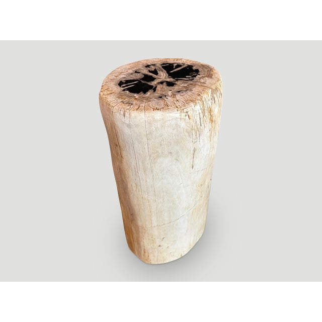 Andrianna Shamaris High Quality Petrified Wood Side Table For Sale - Image 4 of 5