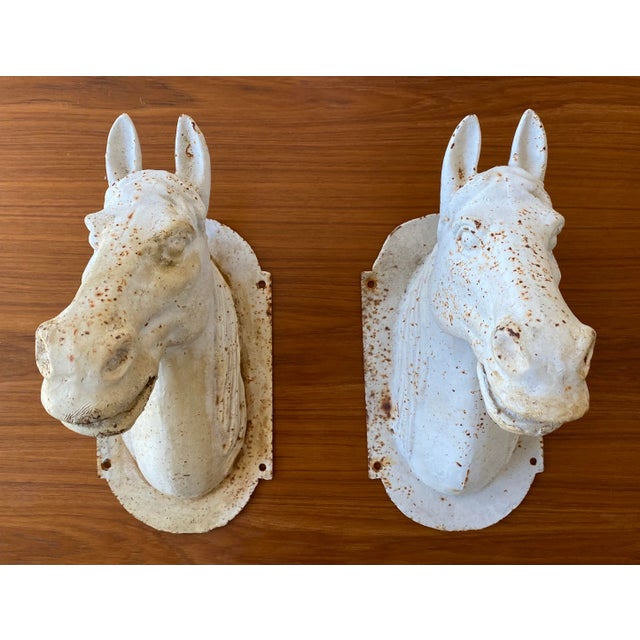 Antique Cast Iron Horse Head Bust For Sale - Image 4 of 13