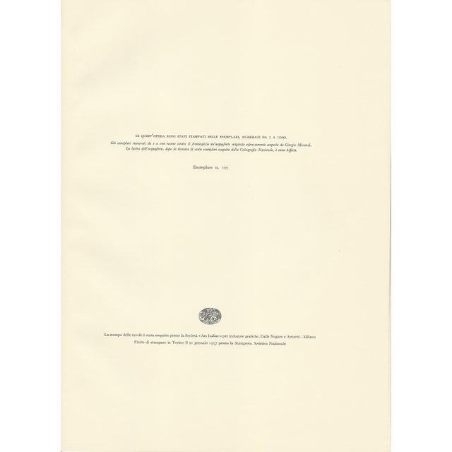 Morandi, Still Life with Drapery, 1957, Lithograph For Sale - Image 6 of 7