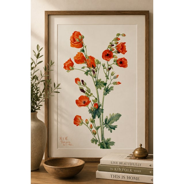 Vintage botanical artwork reproduced from an original illustration by Mary Vaux Walcott and refined for modern printing....