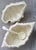 Mid 20th Century 1960’s Vintage White Porcelain Conch Shell Lidded Soup Tureen With Matching Ladle For Sale - Image 5 of 12