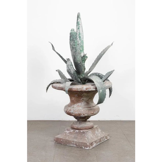 Iron Agave Plant Sculpture, 18th Century, in Very Good conditions. Designed before 1890