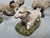 Antique Hand-Painted Sheep Models, 1890s, Set of 5 For Sale - Image 4 of 10